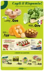 Volantino Ipercoop Radenza Pagina 32: Rucola COOP €0,65, Lattuga Romana €0,79