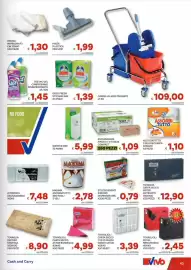 Volantino Vivo Supermercati Pagina 43: Bobina Maxima asciugatutto €2,78, Stuzzicadenti kimono €0,79