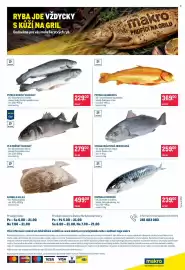 Makro leták Strana 24