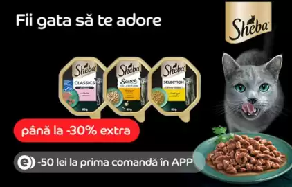 Catalog Emag săptămâna 33 Pagină 2