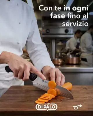 Volantino Gruppo di Palo