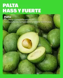 Catálogo Freshmart Página 4