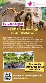 Scheck-in-Center Prospekt woche 33 Seite 79