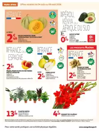 Catalogue Auchan Drive page 28: Sans marque plantes vertes €13,99