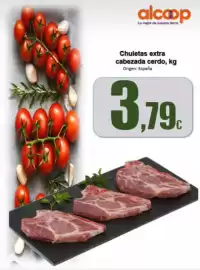 Folleto Super Alcoop Página 7