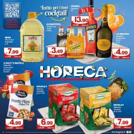 Volantino Boningros Cash and Carry Pagina 4: Develey Ketchup marsupio €6,99