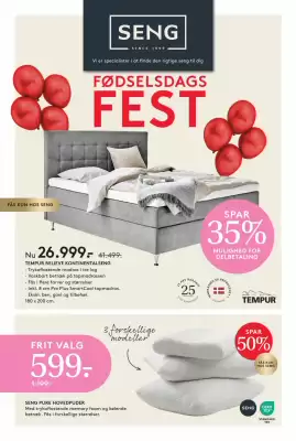 SENG (gælder indtil 24-08)