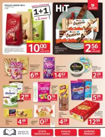 Selgros gazetka Strona 17
