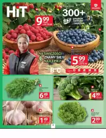 Selgros gazetka Strona 2