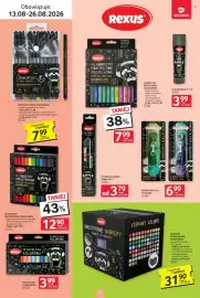 Selgros gazetka Strona 17