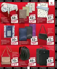 Selgros gazetka Strona 17