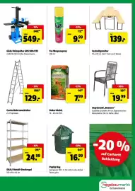 Der Grissemann Flugblatt woche 33 Seite 11