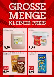 Der Grissemann Flugblatt woche 33 Seite 9