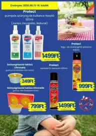 Magnetic akciós újság hét 33 Oldal 11: Protect darázsirtó aeroszol €14.999,00, Citronella gyertya €249,00