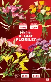 Catalog Kaufland săptămâna 33 Pagină 48