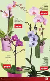Catalog Kaufland săptămâna 33 Pagină 18