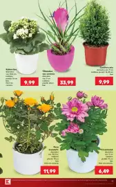 Catalog Kaufland săptămâna 33 Pagină 19