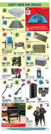 Canadian Tire flyer week 33 Page 7