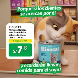 Catálogo Mayorsa Página 2