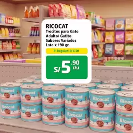 Catálogo Mayorsa Página 3