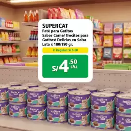 Catálogo Mayorsa Página 4