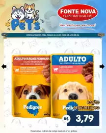 Folheto Fonte Nova Página 4