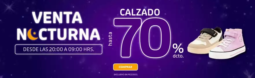 Catálogo Ficcus Página 2