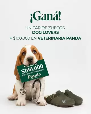 Hush Puppies (válido hasta 12-08)