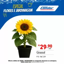 Catálogo Supermercados Condor Página 48