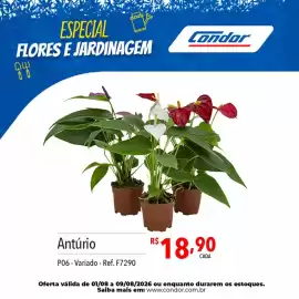 Catálogo Supermercados Condor Página 49