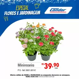 Catálogo Supermercados Condor Página 50