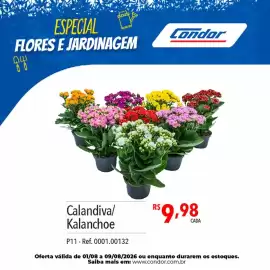 Catálogo Supermercados Condor Página 51