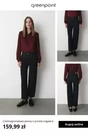 Greenpoint gazetka tydzień 33 Strona 3