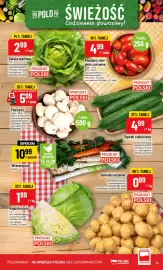 Polomarket gazetka tydzień 33 Strona 15