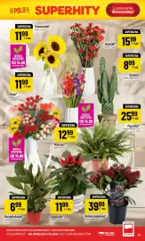 Polomarket gazetka tydzień 33 Strona 65
