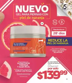 Catálogo Stanhome Página 29
