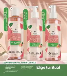 Catálogo Stanhome Página 62