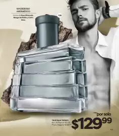 Catálogo Stanhome Página 99