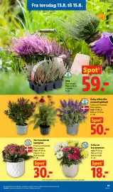 Lidl tilbudsavis Side 16
