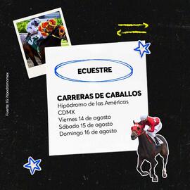 Catálogo Ticketmaster semana 33 Página 6