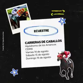 Catálogo Ticketmaster semana 33 Página 6