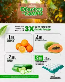 Catálogo Supermercado Precito Página 2