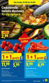 Lidl gazetka Strona 45