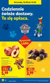Lidl gazetka Strona 48