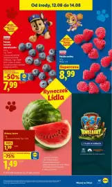 Lidl gazetka Strona 49