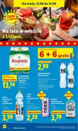 Lidl gazetka Strona 68