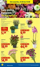 Lidl gazetka Strona 86