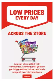 IGA catalogue week 32 Page 31
