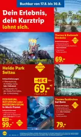 Lidl Prospekt woche 35 Seite 27