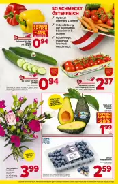 Billa Flugblatt woche 33 Seite 3